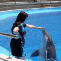 Водный парк Marineland (Испания, Коста Брава)