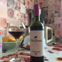 Сухое красное вино Torres Vina brava