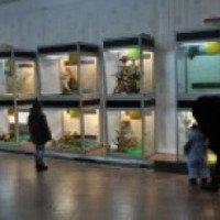 Выставка экзотических животных "Animal park" (Россия, Саратов)
