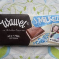 Молочный шоколад Wawel "Milkizz"
