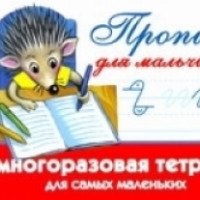 Многоразовая тетрадь для самых маленьких "Прописи для мальчиков" - В. Дмитриева