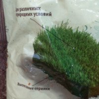 Смесь газонных трав "Зеленый квадрат"