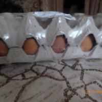 Яйцо куриное Кузбасская птицефабрика