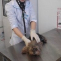 Ветеринарная лечебница №1 (Крым, Бахчисарай)