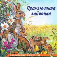 Книга "Приключения зайчонка" - Ирина Гурина