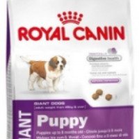 Полнорационный сухой корм Royal Canin Puppy Giant