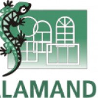 Оконные профили Salamander