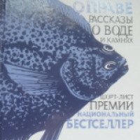 Книги "Кристалл в прозрачной оправе" - Василий Авченко