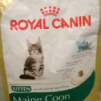 Сухой корм Royal Canin Kitten Maine Coon для котят породы Мэйн Кун от 3 до 15 месяцев