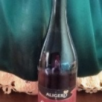 Вино игристое жемчужное красное сладкое Donelli Lambrusco Dell'Emilia IGT "Aligero"