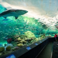 Аквариум "Ripley's Aquarium of Canada" (Канада, Торонто)