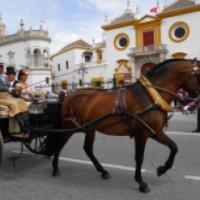 Праздник Feria de Abril или Апрельская ферия 