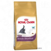 Корм для кошек Royal Canin British Shorthair