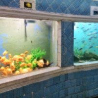 Батумский аквариум (Грузия, Батуми)