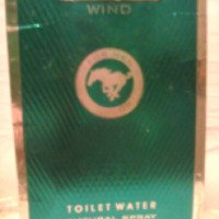 Туалетная вода для мужчин MUSTANG WIND