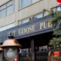 Паб "Fat Goose Pub" (Украина, Харьков)