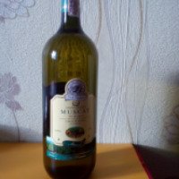 Вино Vin de Gampagne Vinurile Moldovei