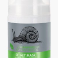 Ночной крем для лица Premium Homework "Secret Mask" c секретом улитки