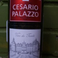 Вино столовое полусладкое красное Союз-Вино "Цезарио Палаццо"