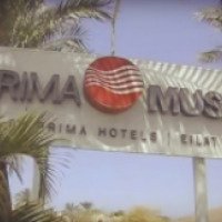 Отель Prima Music 4* 