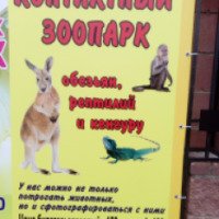 Контактный зоопарк обезьян, рептилий, кенгуру (Россия, Балахна)