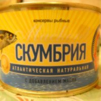 Консервы рыбные Нацрыбпром "Скумбрия атлантическая натуральная с добавлением масла"