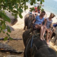 Экскурсия "Прогулка на слонах" (Таиланд, Кхао Лак)