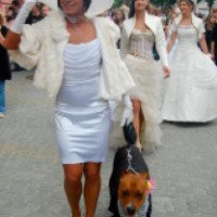 Парад невест (Украина, Тернополь)