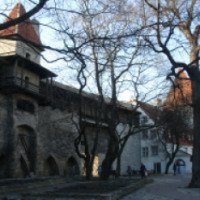 Сад датского короля (Эстония, Таллин)