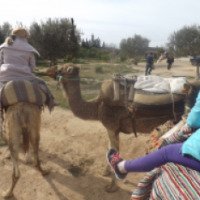 Катание на верблюдах (Тунис, Сусс)