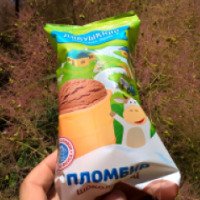 Мороженое Дивушкино "Пломбир" шоколадный