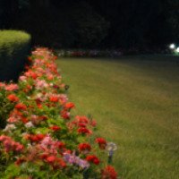 Программа "Вечерний сад" в Никитском саду 