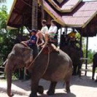 Экскурсия в деревню слонов (Тайланд, Паттайя)