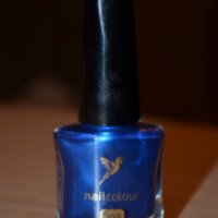 Лак для ногтей Октопас Nailcolour