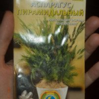 Семена Плазменные семена "Аспарагус Пирамидальный"