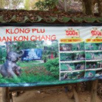 Катание на слонах на ферме Klong Plu, Ban Kon Chang 