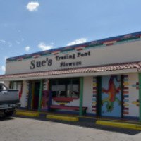 Магазин Sue's Flower & Gift Shop (США, Ахо)