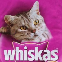 Акция Whiskas "Кошка знает, где вкусное мясо!"