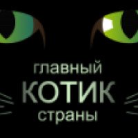 ТВ-передача "Главный котик страны" (Первый канал)