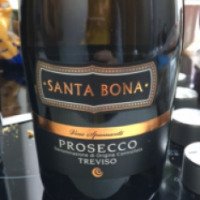 Игристое вино Santa Bona "Prosecco Treviso"