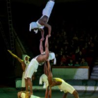 Цирковая программа "Международная программа" - Тульский государственный цирк (Россия, Тула)