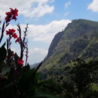 Экскурсия в высокогорную деревню Элла (Шри-Ланка)