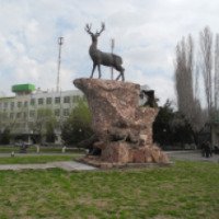 Ташкентский Зоопарк (Узбекистан)