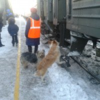 Поезд №014 "Санкт-Петербург - Новокузнецк"