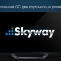 Компания Skyway 