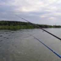 Платная рыбалка на Нарских прудах в д. Асаково 