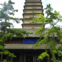 Малая пагода диких гусей 