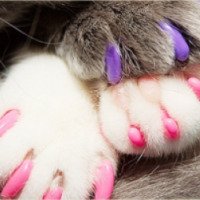 Антицарапки для кошки Glamour Paws