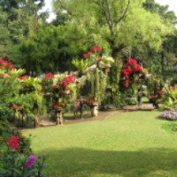 Ботанический сад цветов Мэй Фах Луанг 