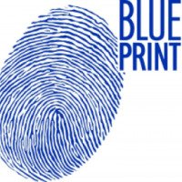 Тормозной диск Blue print